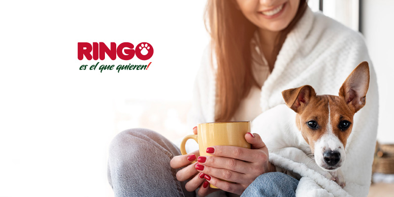 Conoce cómo apoyar a una casa hogar para perros